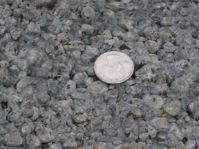 Quarter Illustrating Pervious Concrete